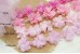 Peonies Chiffon Flower Trim (MEDIUM)  (Pack of 6)